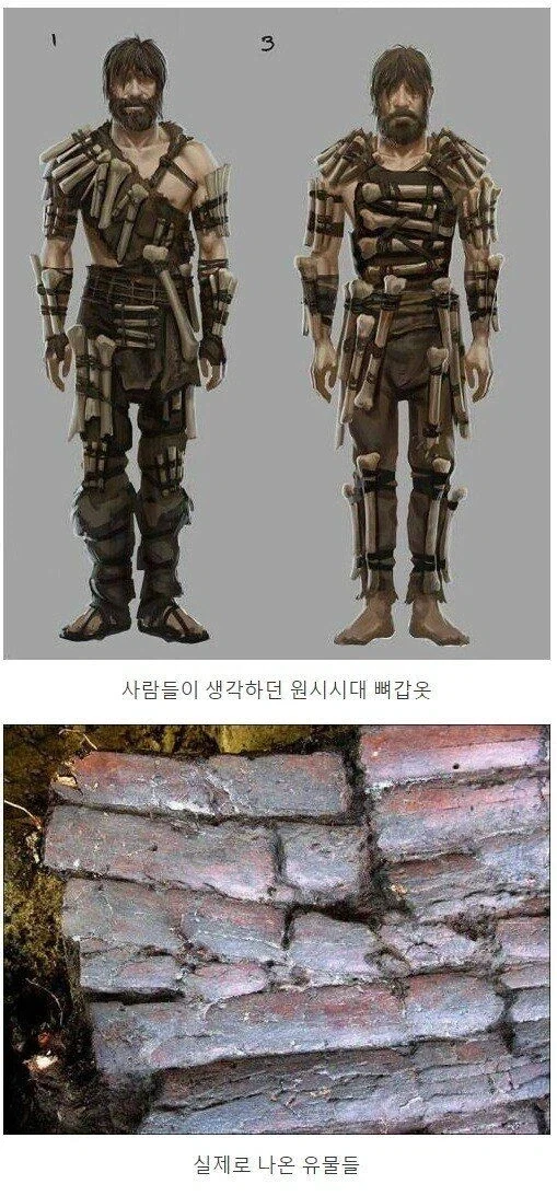 우리가 상상하는 뼈 갑옷 vs 실제 뼈 갑옷_1.webp