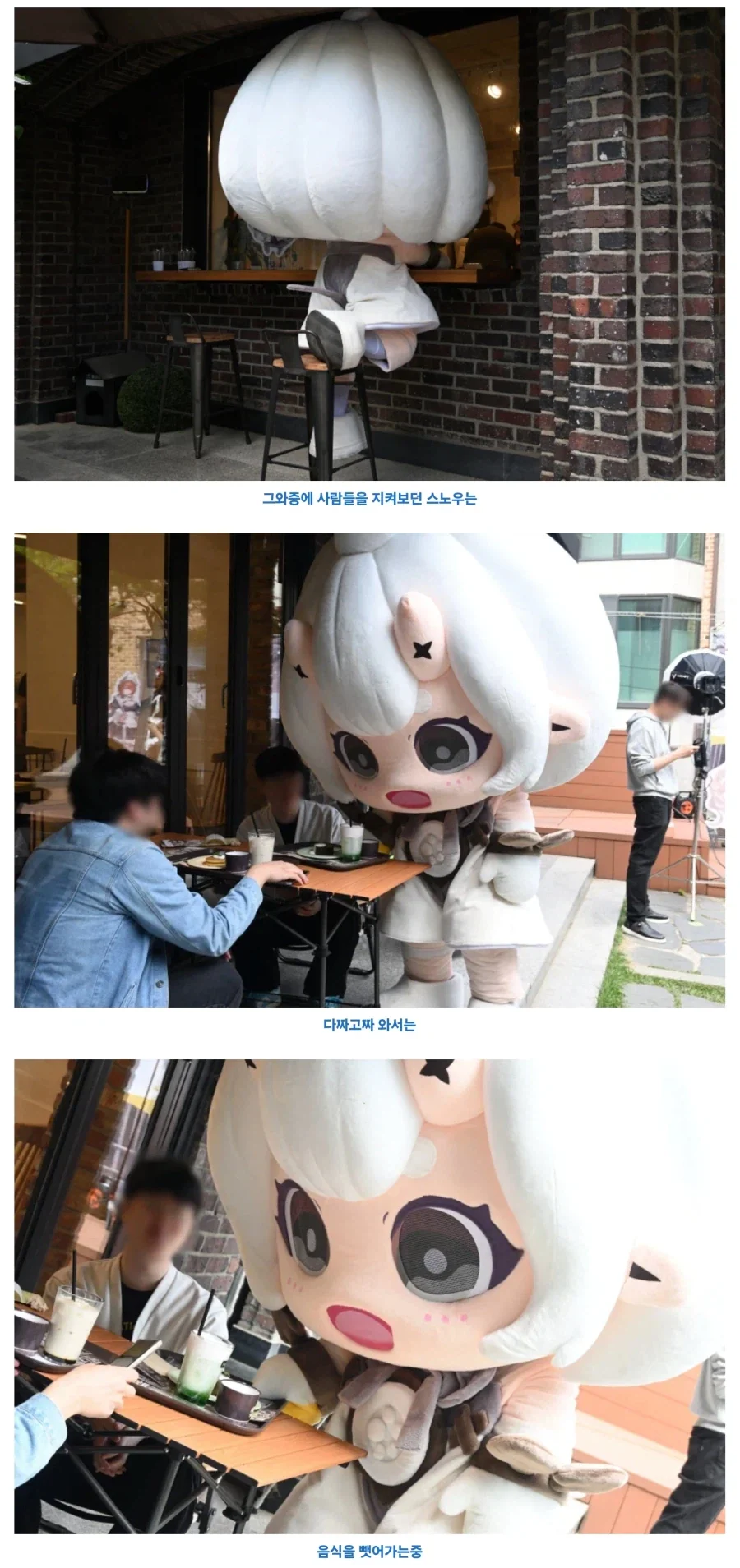 슬슬 카멜탈의 잔류가 흐르는 한국 인형탈 업계_1.webp