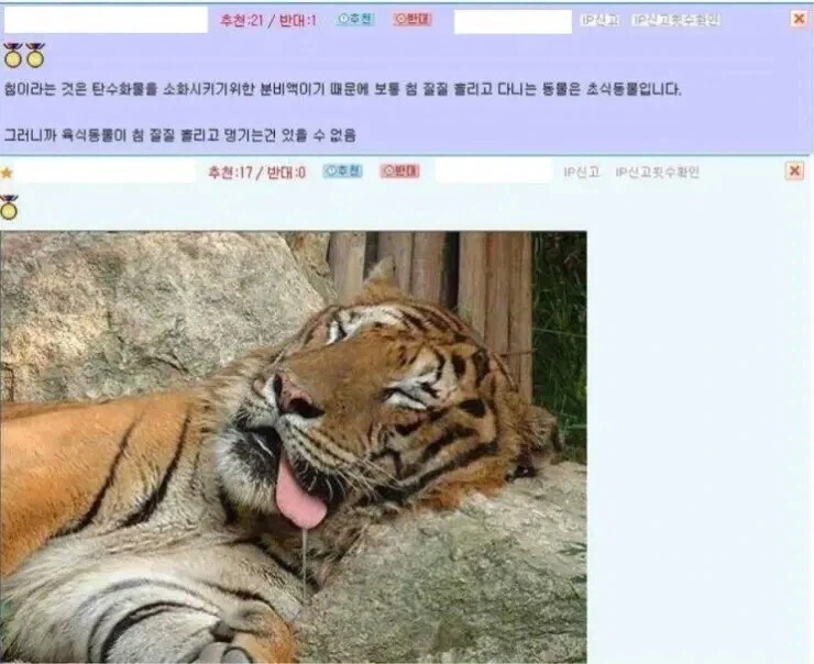 육식동물은 침을 흘릴 수가 없어요ㅋㅋ_1.webp