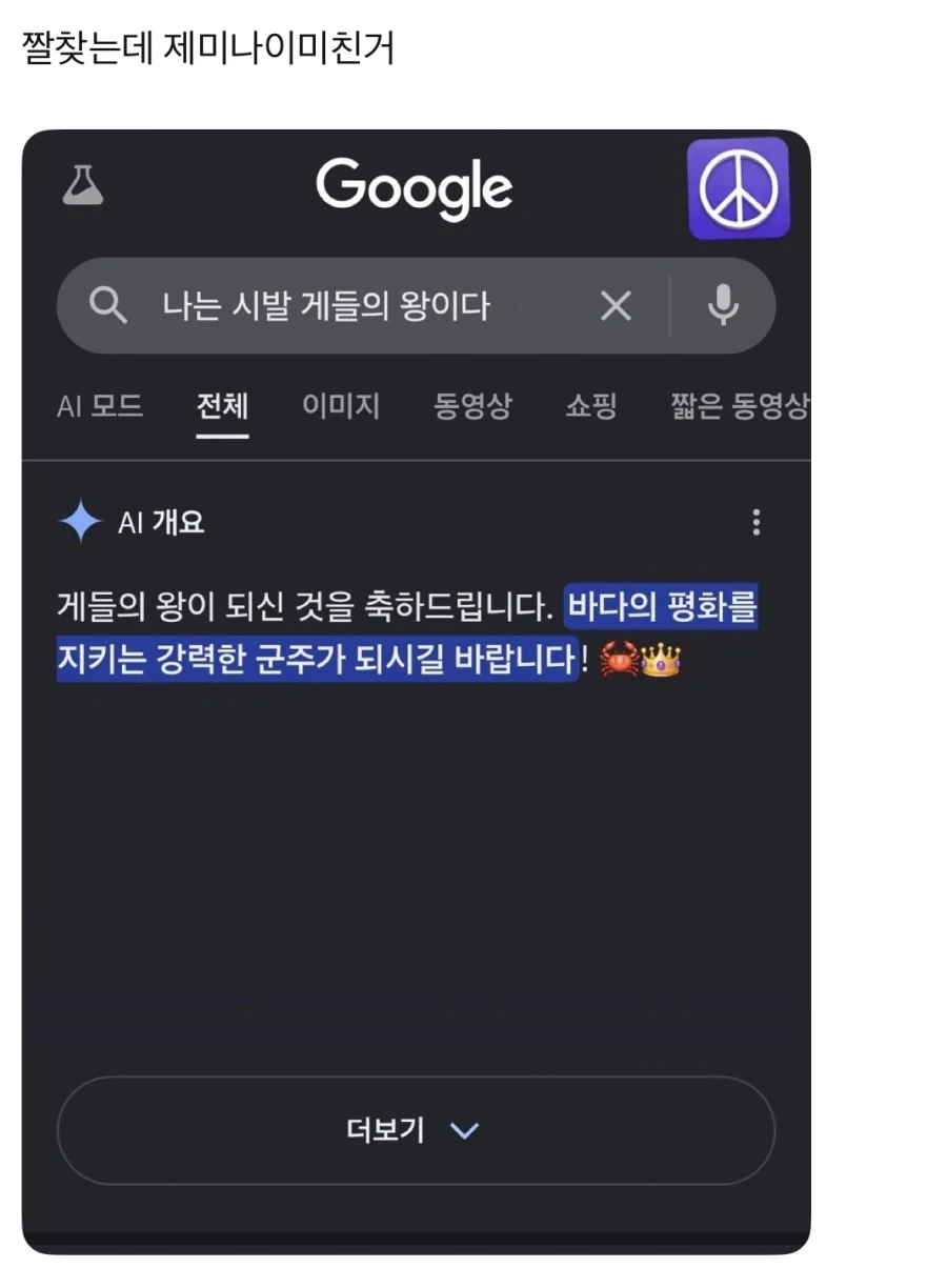 구글에서 짤찾는게 위험하다는 게.jpg_1.webp