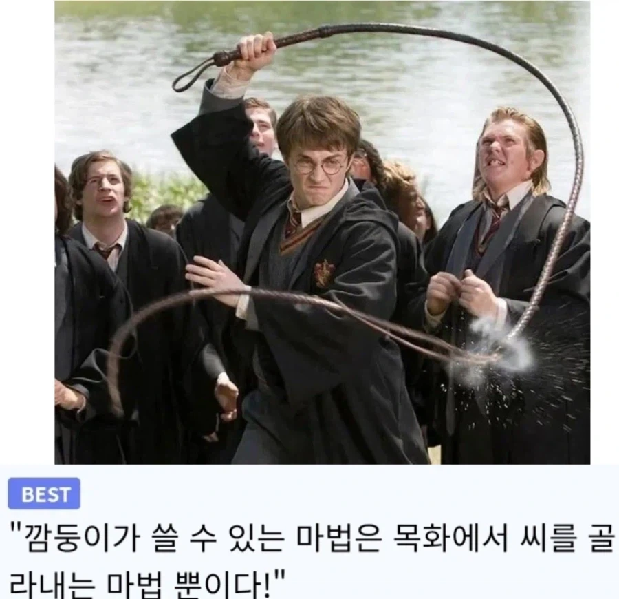 스네이프 흑인 설정으로 쓰레기 티어가 더 오른 캐릭터_3.webp