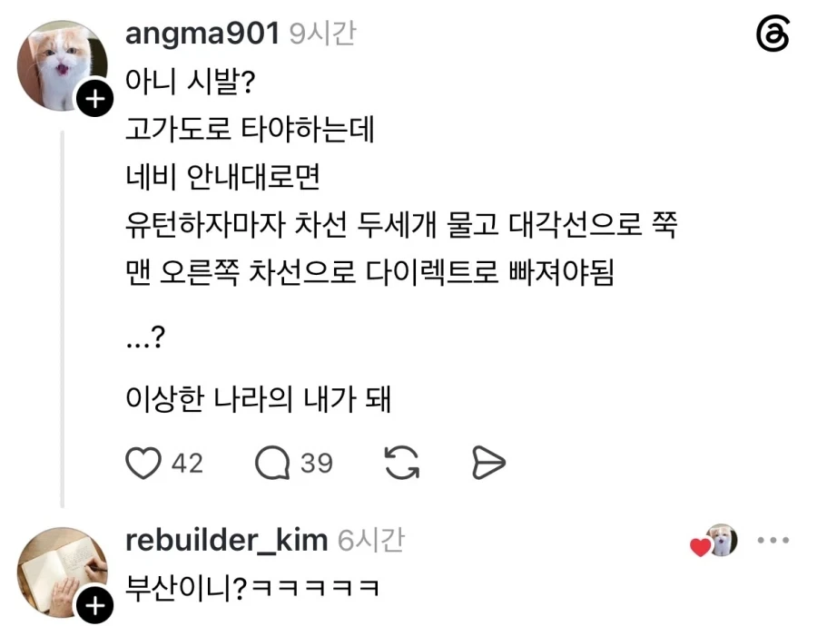 내비야 진짜 이 길이 맞냐.jpg_1.webp