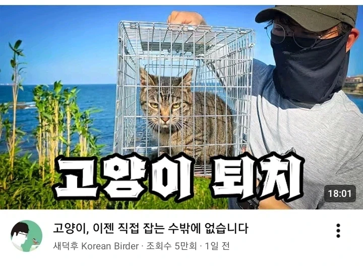 새덕후 길냥이 퇴치 방법 ㄷㄷ_1.webp