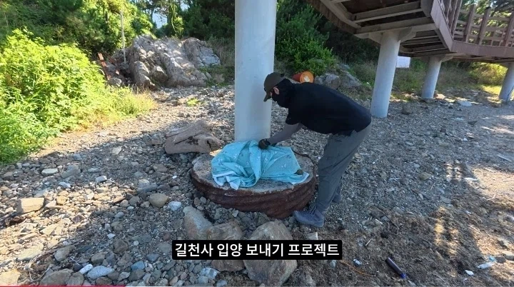 새덕후 길냥이 퇴치 방법 ㄷㄷ_2.webp