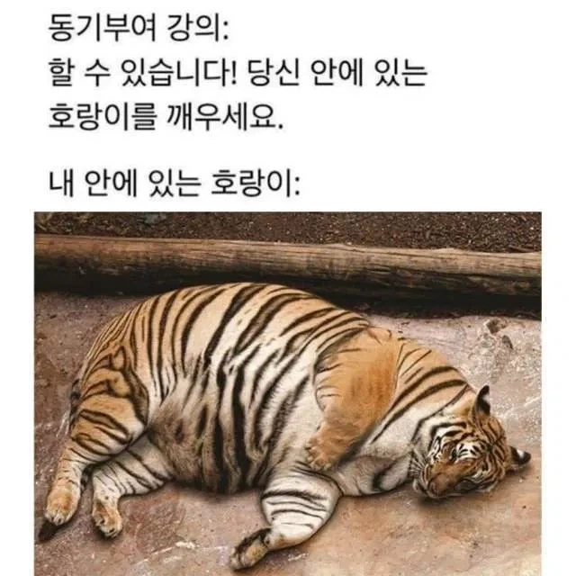 당신 안에 있는 호랑이를 깨우세요_1.webp