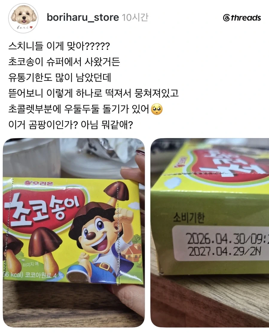 초코송이 독버섯 에디션.jpg_1.webp