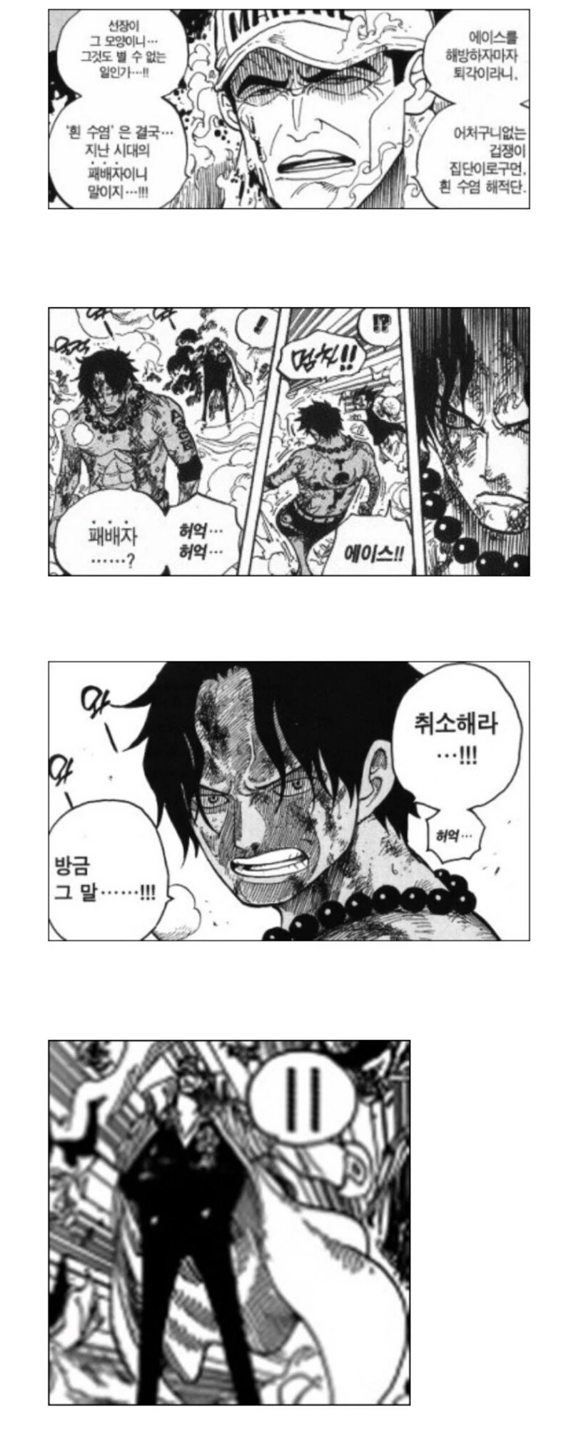 원피스의 에이스가 죽은 이유_1.jpg