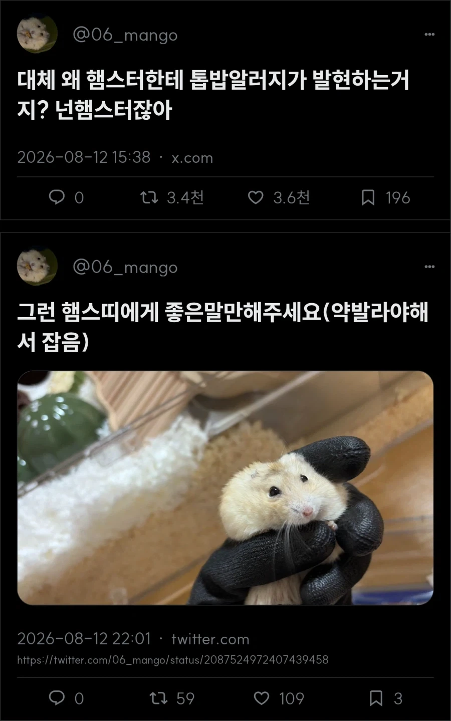 톱밥 알러지 햄스터_1.webp