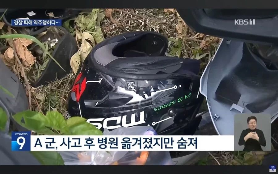 경기도 양평에서 고라니 하나가 죽었다는군_2.webp