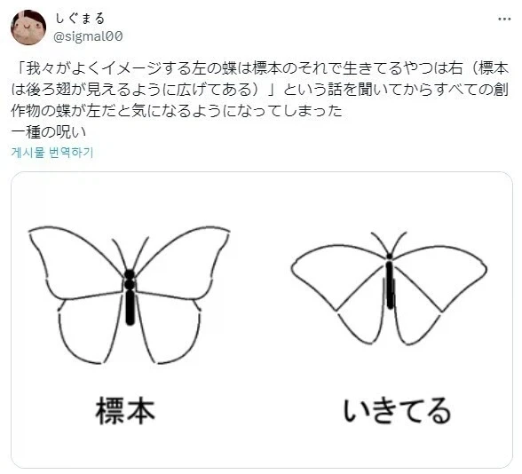 사람들은 진짜 나비가 살아있는 모습을 모른다.jpg_1.webp