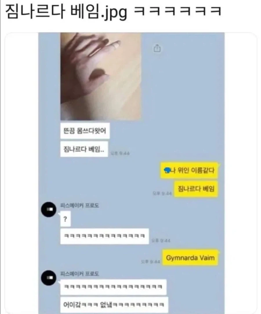위인의 이름 짐나르다 베임_1.webp