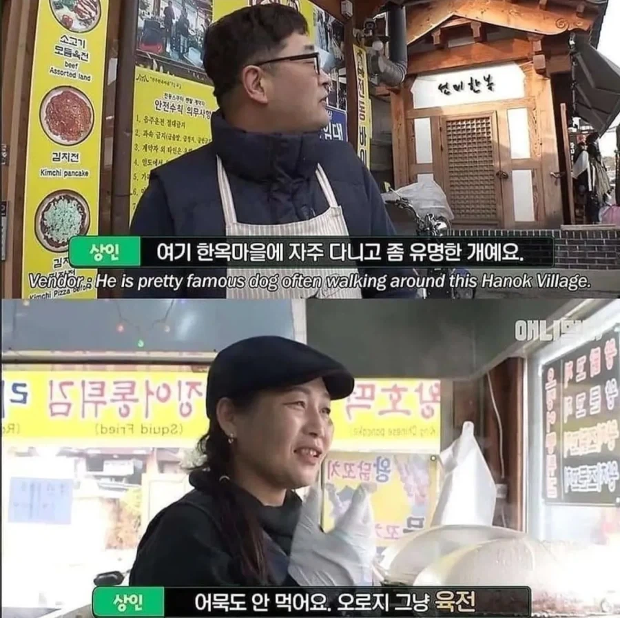 절에사는 강아지가 굶는 이유_7.webp