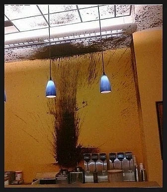 알바 첫날에 흑역사 쓰는 방법_1.webp