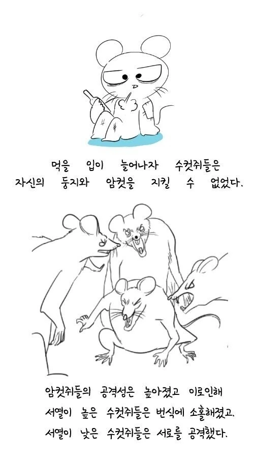 manga_1371433_004.webp