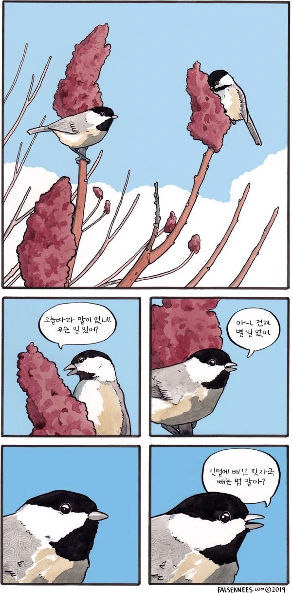 manga_3468737_015.webp