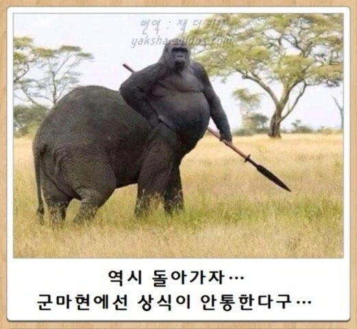 일본 군마현 밈 모음집_1.webp