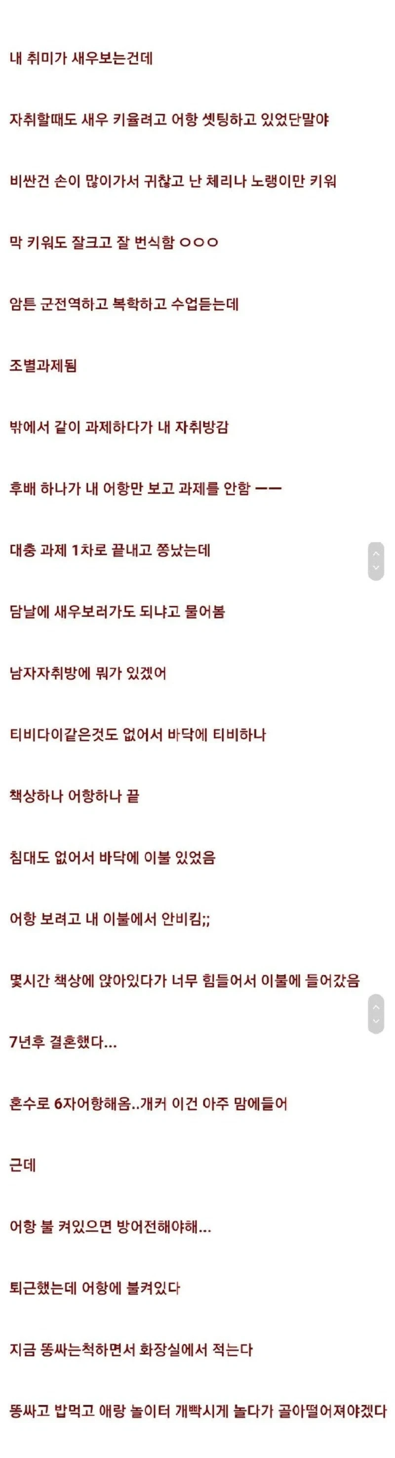 새우 키우는게 위험한 이유 jpg._1.webp