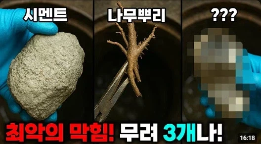 하수구에서 나와서는 안 될 3가지_1.webp