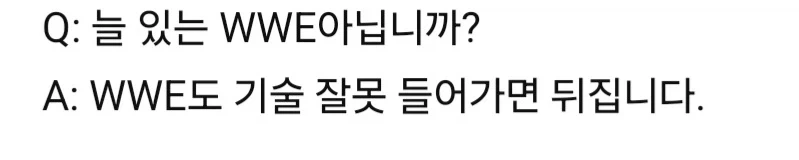 탱장연과 WWE의 공통점_2.webp