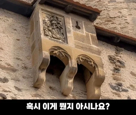 디즈니 영화 라푼젤 탑의 비밀.jpg_9.webp