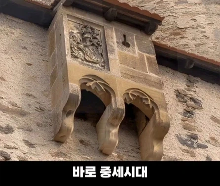 디즈니 영화 라푼젤 탑의 비밀.jpg_10.webp