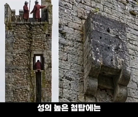 디즈니 영화 라푼젤 탑의 비밀.jpg_13.webp