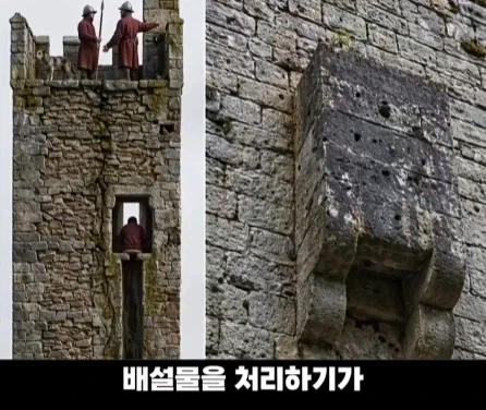 디즈니 영화 라푼젤 탑의 비밀.jpg_14.webp
