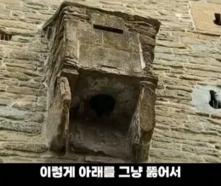 디즈니 영화 라푼젤 탑의 비밀.jpg_16.webp