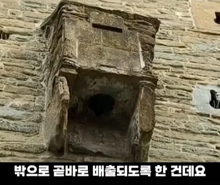 디즈니 영화 라푼젤 탑의 비밀.jpg_17.webp