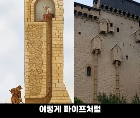 디즈니 영화 라푼젤 탑의 비밀.jpg_18.webp