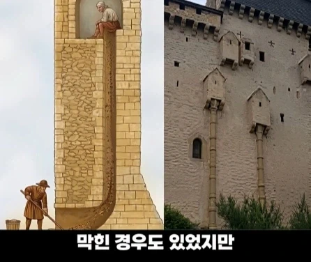 디즈니 영화 라푼젤 탑의 비밀.jpg_19.webp