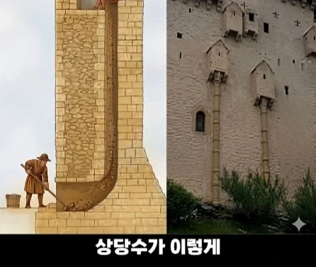 디즈니 영화 라푼젤 탑의 비밀.jpg_21.webp