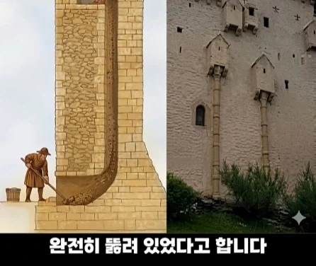 디즈니 영화 라푼젤 탑의 비밀.jpg_22.webp
