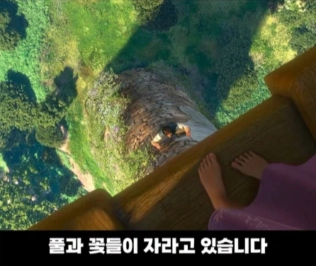 디즈니 영화 라푼젤 탑의 비밀.jpg_27.webp