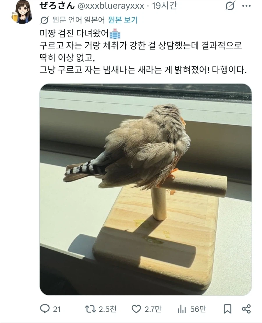 새를 동물병원에 데리고 가 본 사람_1.webp