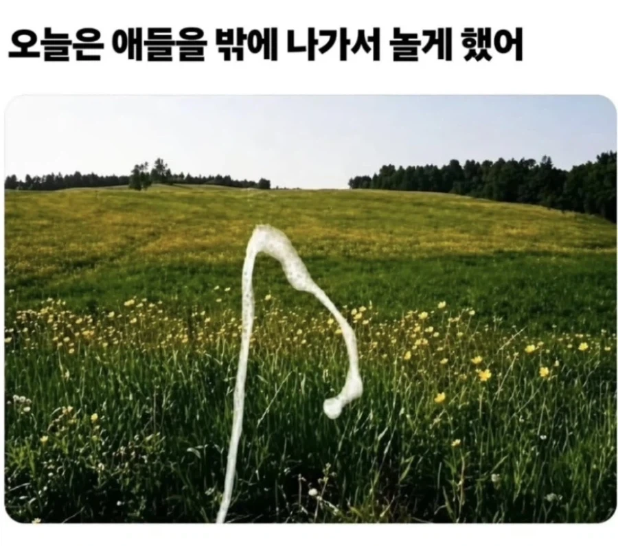 ㅇㅉㅇㅉ한 어린이날 후기_1.webp