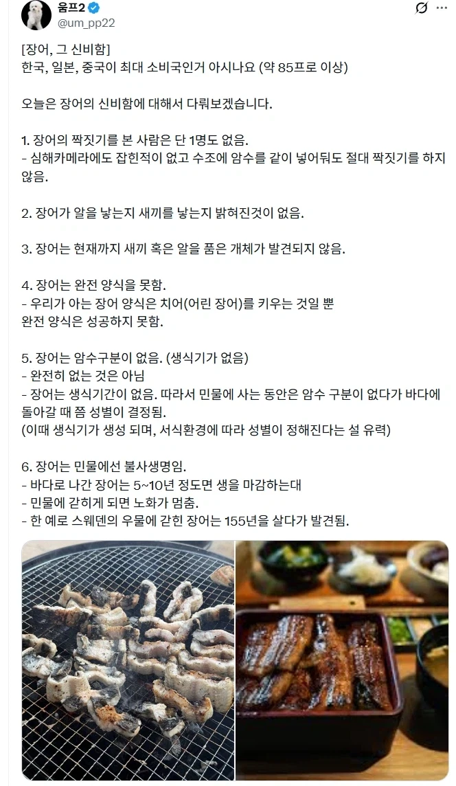 장어의 신비.jpg_1.webp