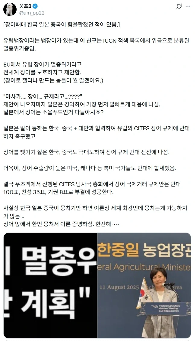 장어의 신비.jpg_2.webp