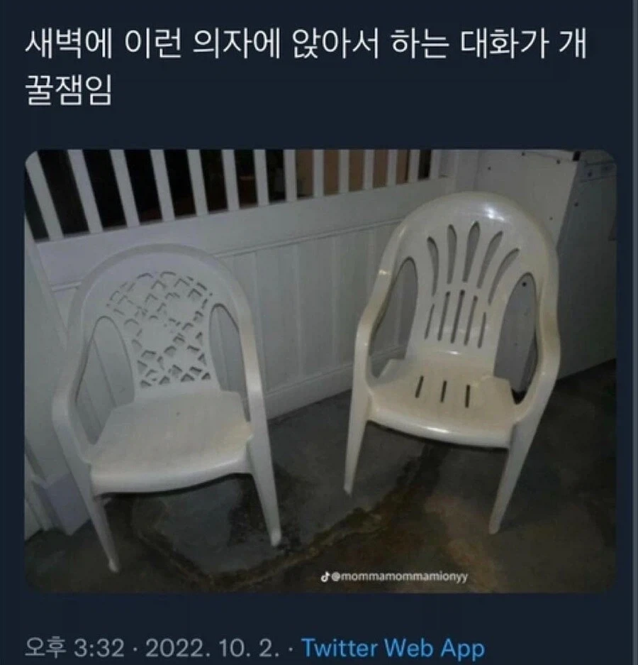 진실만 말하게 하는 의자_1.webp