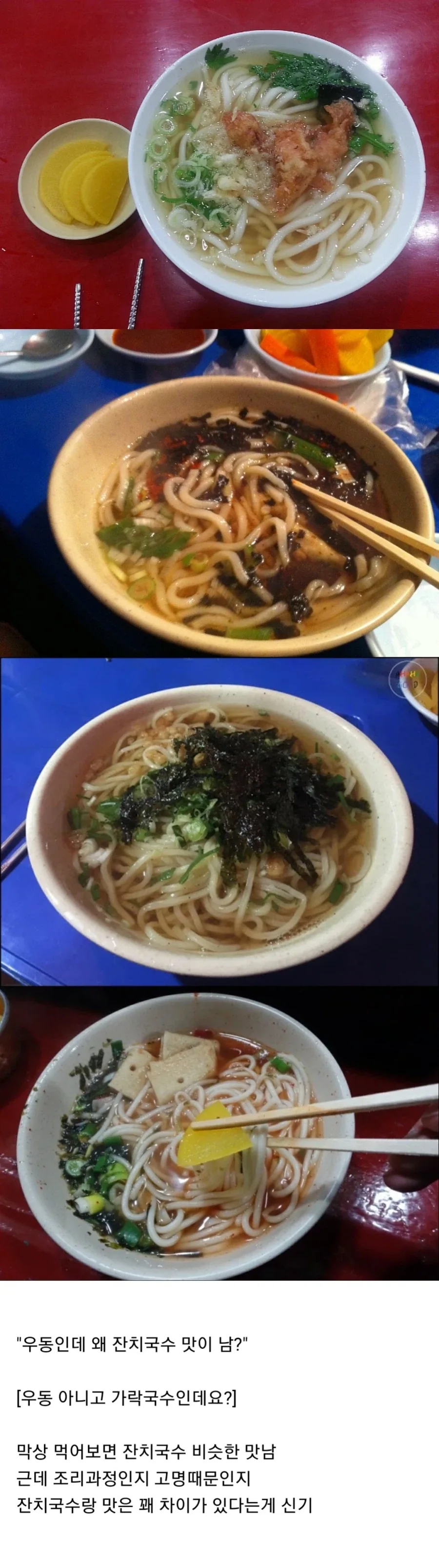 가락국수는 우동과 다른 이유.jpg_1.webp