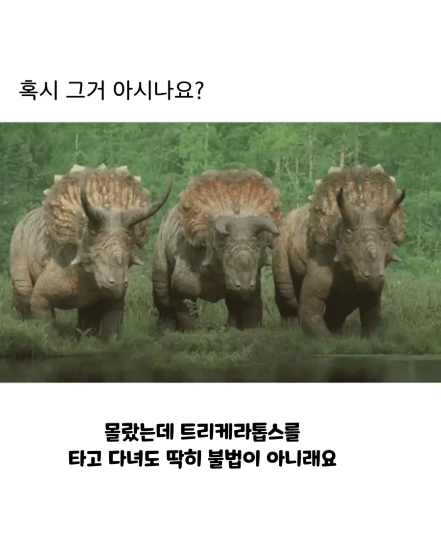 의외로 불법이 아닌 것_1.webp