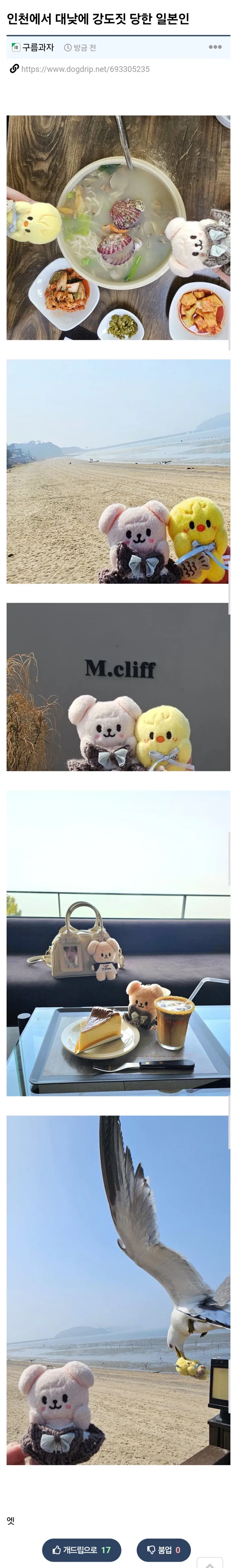 한국에서 강도 당한 외국인.jpg_1.webp
