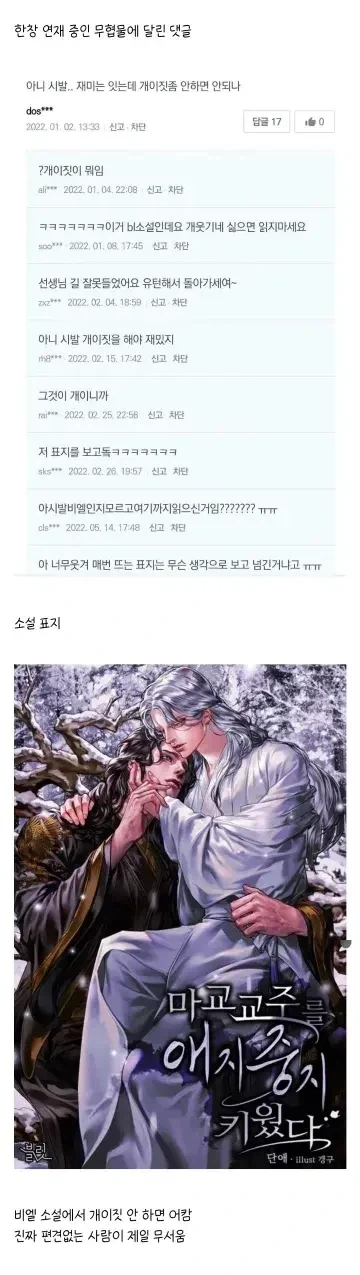 소설 재미는 있는데... 게이짓 좀 안 하면 안 돼?_1.webp