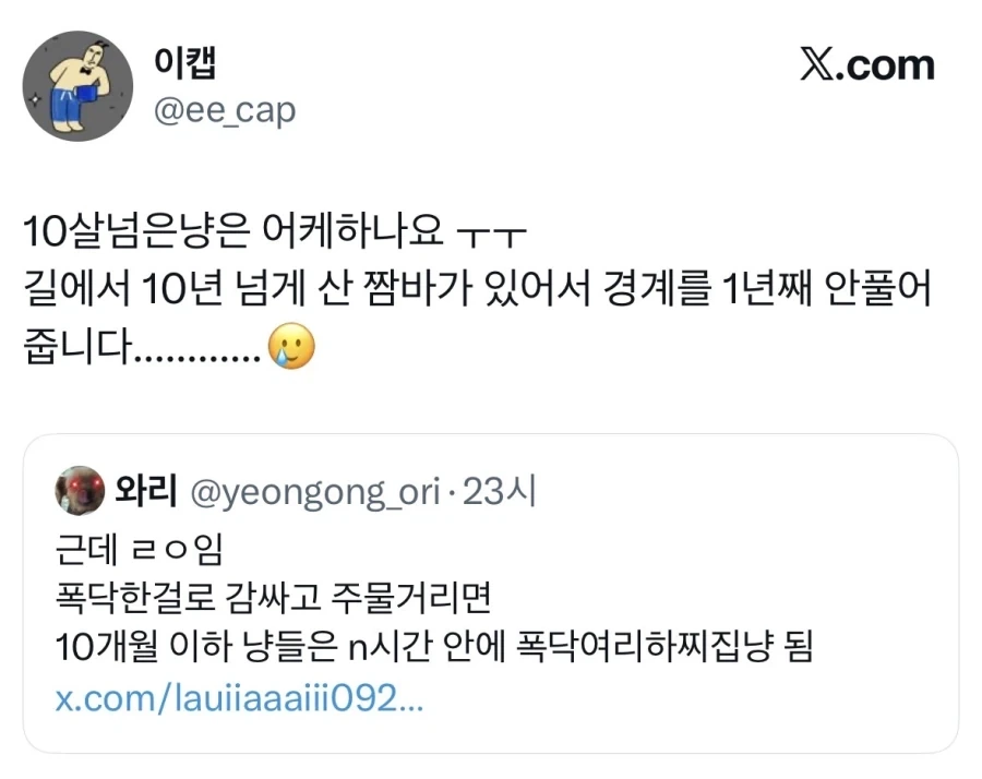 길고양이 입양했는데 경계를 안푼다.jpg_2.webp