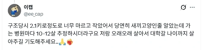 길고양이 입양했는데 경계를 안푼다.jpg_7.webp