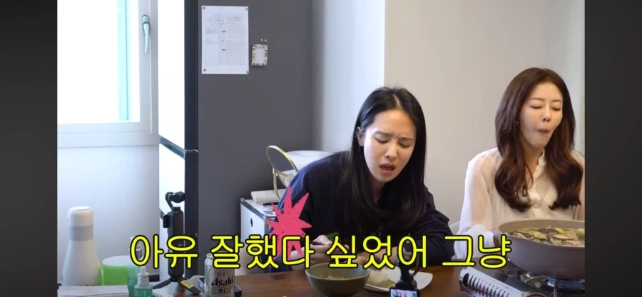 서인영이 테토녀라고 잘 안하는 이유_2.webp