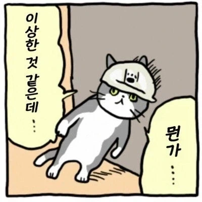 한국은 쉬었음 청년.... 일본은 식사 걸렀음 청년_2.webp