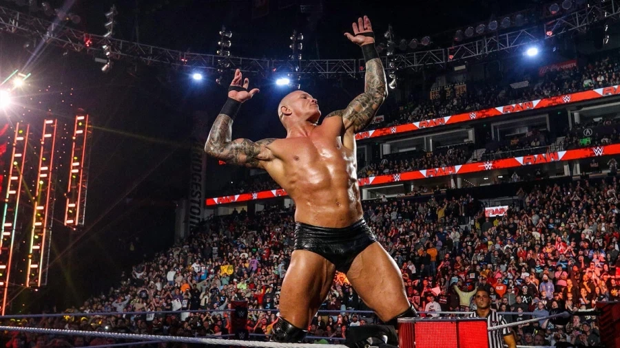 wwe) 매력적인 레슬러의 조건_4.webp