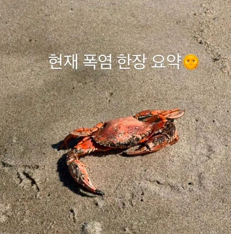 맛있어져라 모에모에뀽♡_1.webp