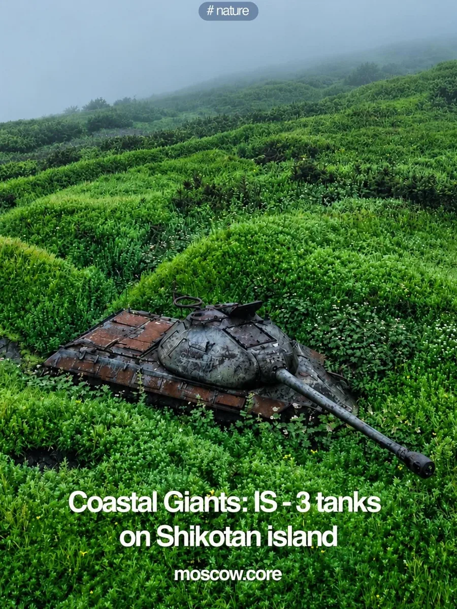 시코탄 섬에 있는 IS-3탱크..._1.webp